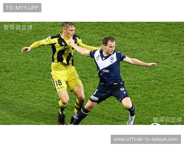 利兹高节奏推进打得非常果断,走向胜利的关键! 利兹高节奏推进打得非常果断,走向胜利的关键!