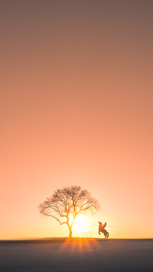 开云体育在线登入-NBA赛季得分王球员评析，nba赛季得分王球员评析图