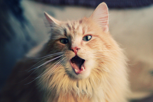 开云体育登录-NBA赛季投篮命中率分析报告，nba现役球员投篮命中率排名