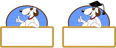 开云体育官网登入-校园体育活动对大学生心理健康的促进作用，体育锻炼对大学生心理健康促进的意义