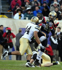 开云体育登录入口-200蝶滑行距离：美选手更擅前段推进，滑蝶游身步