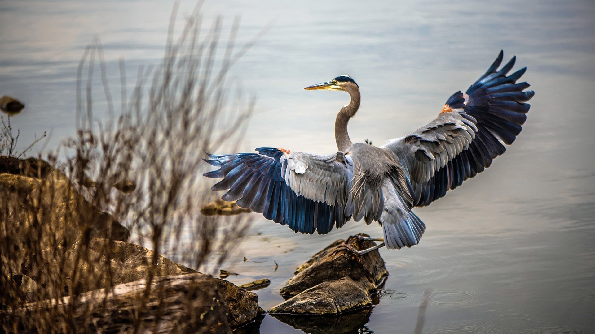 开云在线登入-“伦敦德比,香港赛场!阿仙奴与热刺谁能笑到最后?”