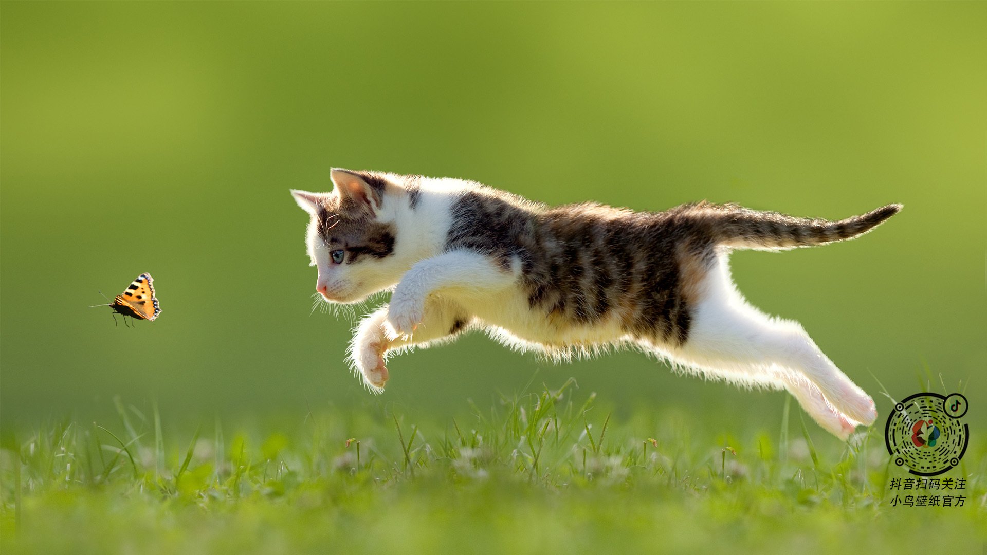 开云体育娱乐-“新赛制首秀:俱乐部世界杯正式迈入世界杯时代”