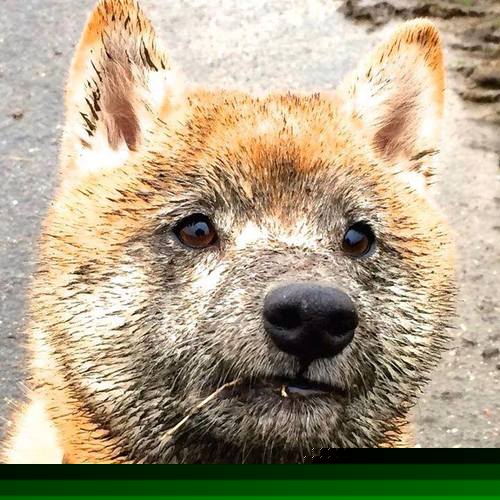 开云体育app入口-赫塔菲稳固中场屏障掌控比赛节奏,赫塔菲吧