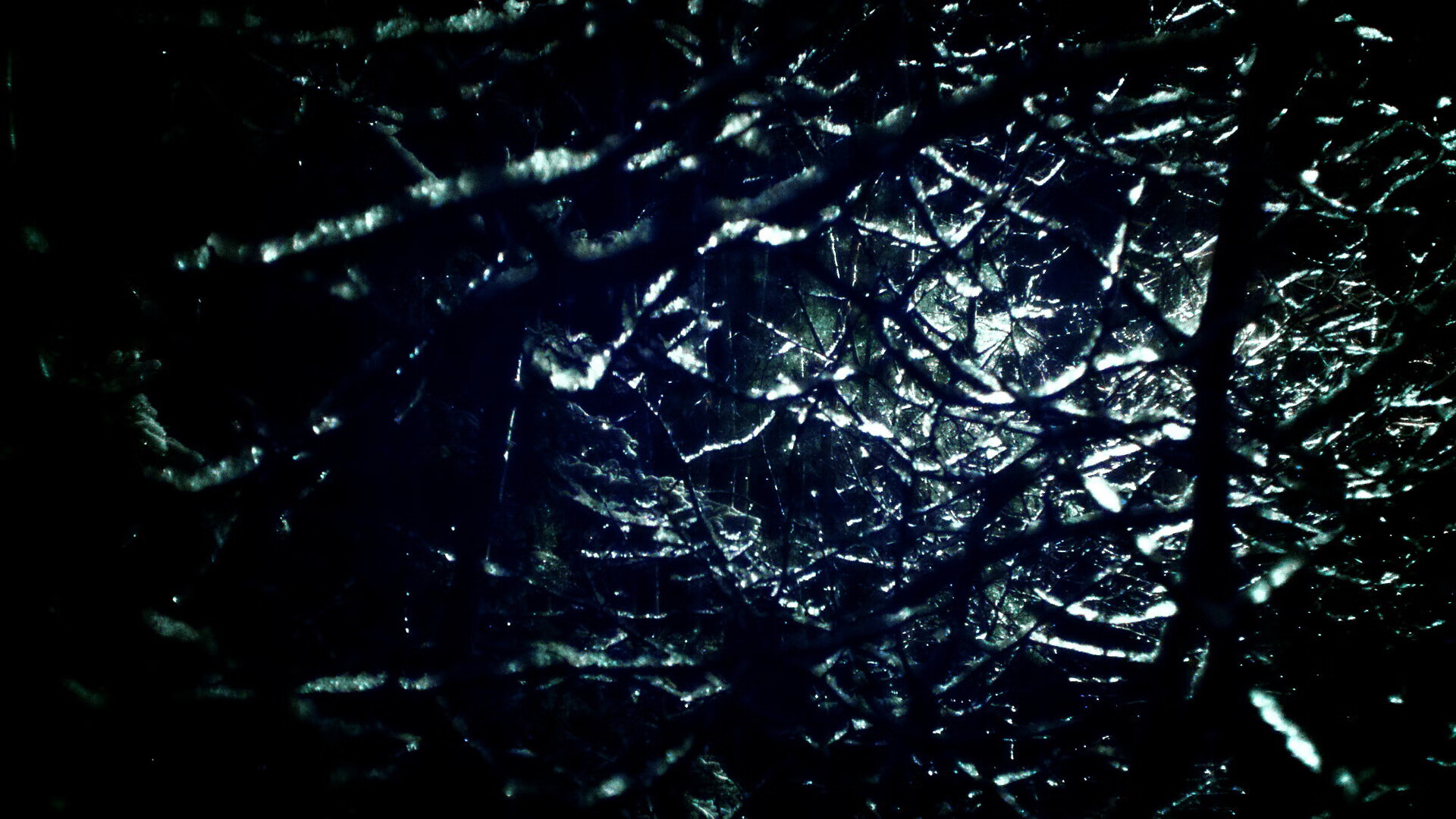 开云在线登入-教练员培训体系全面升级,教练员岗位培训管理系统