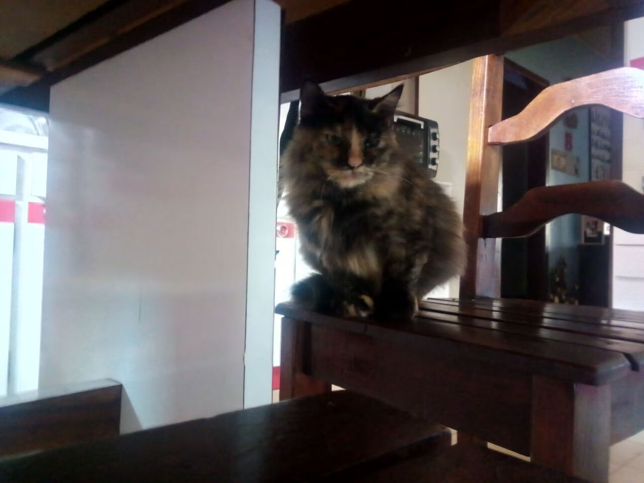 开云体育网址-科里·简:新西兰全黑队的致命武器,快速反击威胁巨大,科里是谁