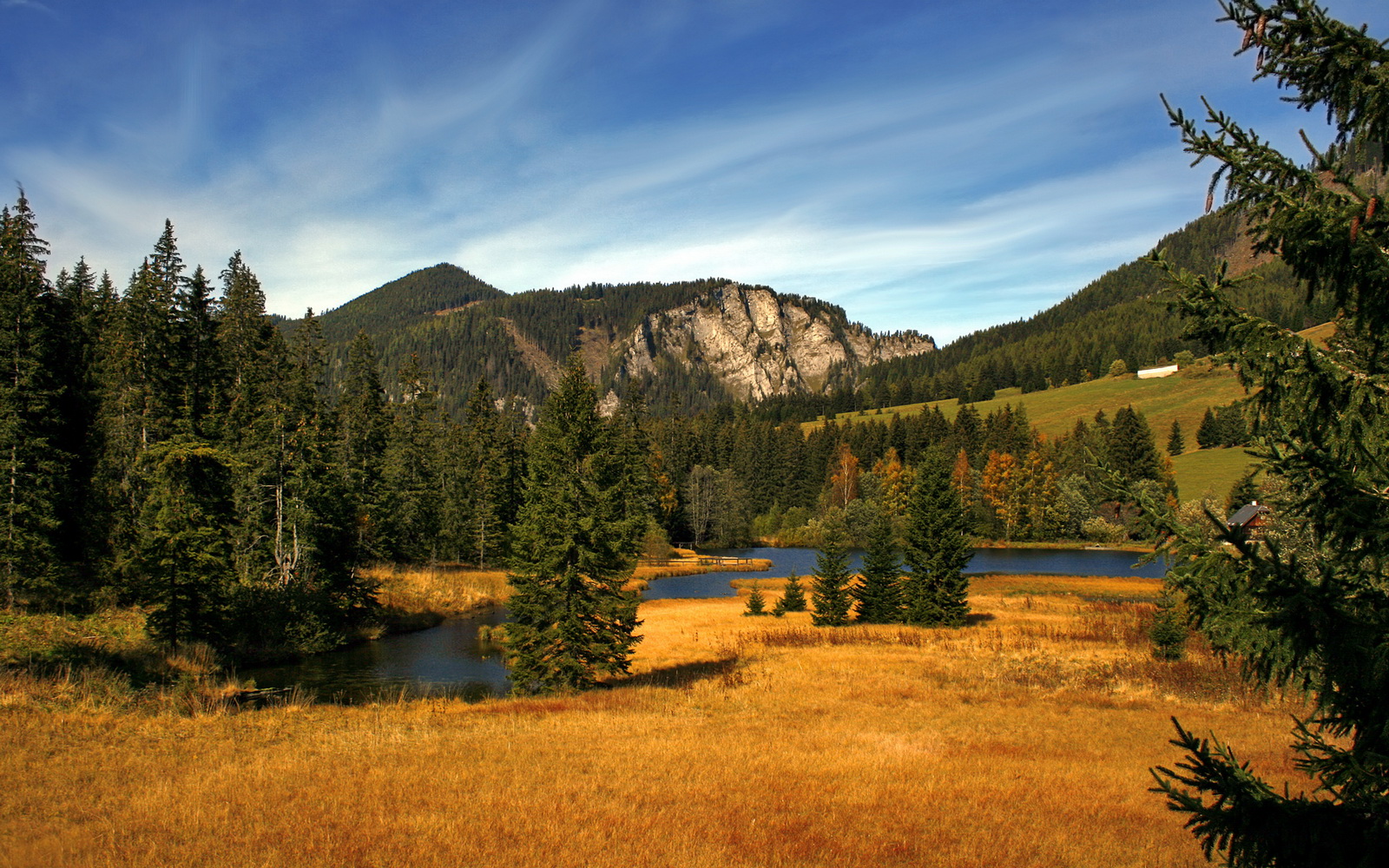 开云体育下载-美洲杯激情巡演:明星表演令人热血沸腾,美洲杯经典比赛