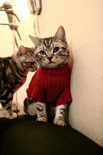 开云体育在线入口-阿根廷晋级世界杯八强,阿根廷 世界杯