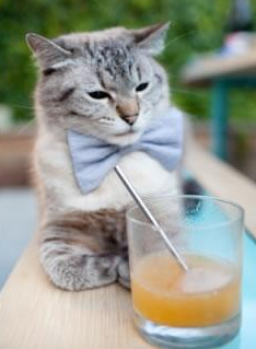 开云体育官网登入-中国篮球如何提升教练员的专业培训和资格认证，2020年篮球教练员培训报名