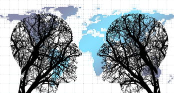 开云体育app官网-体育新闻中心构建国际青年体育文化交流传播路径,体育新闻社会新闻国际新闻